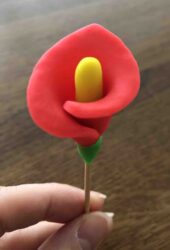 j-ai-modele-un-arum