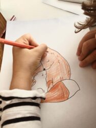 coloriages-renard-automne-titoudou