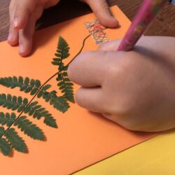 ecrire-herbier-enfant-titoudou