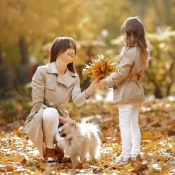 promenande-enfant-parent-foret-titoudou