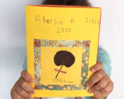 tuto-fabriquer-herbier-enfant-titoudou-10x8