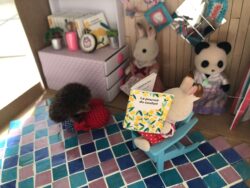 Sylvanian-boutique-bonheur-titoudou