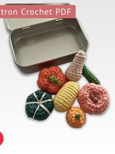 Mini-courges au crochet – 6 modèles d’automne (patron PDF facile débutant)