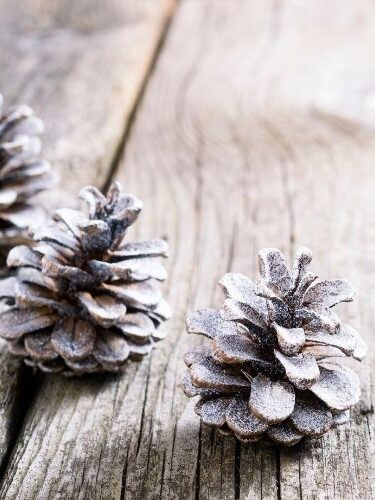 pomme de pin décorée