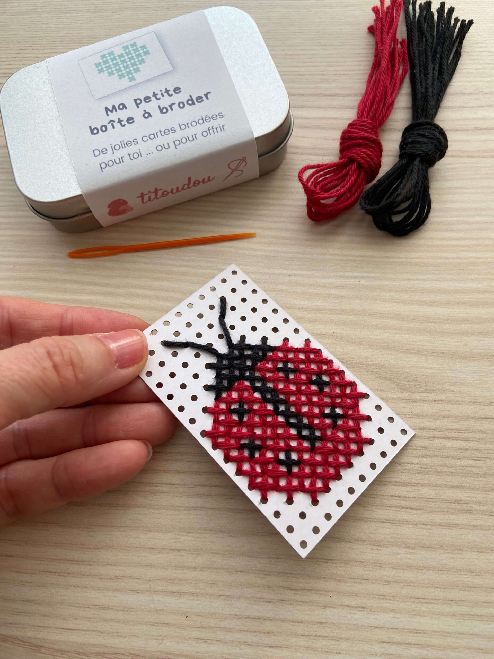 ma-petite-boite-a-broder-motif-coccinelle